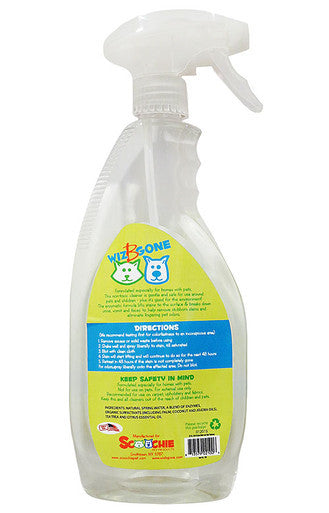 22 Ounce Wiz B Gone Stain and Odor Remover For Carpet and Upholstery Retail