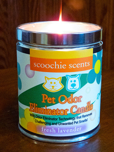 Scoochie Scents Fresh Lavender Pet Odor Eliminator Candle Tin