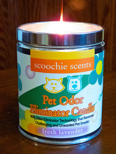 Scoochie Scents Fresh Lavender Pet Odor Eliminator Candle Tin Retail