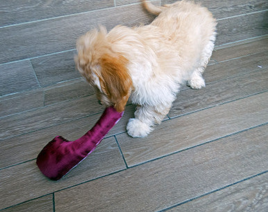 11 Inch Scoochzilla T Bone Steak Retail