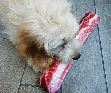 13 Inch Scoochzilla Barbaras Bacon Retail