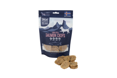 Salmon Chips - 2.5 oz Bag