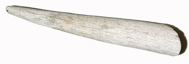 5-6 Inch Assorted Elk Antlers Split and Whole USA Sourced
