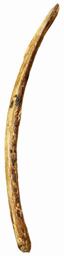 Beef Rib with cigar