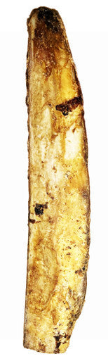 Beef Rib with cigar