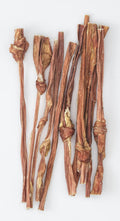 12 Inch Bladder Stick Bulk Retail