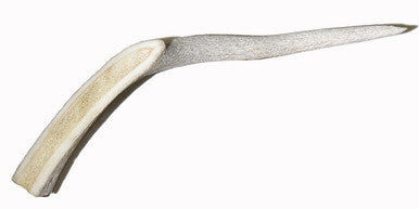 5-6 Inch Assorted Elk Antlers Split and Whole USA Sourced