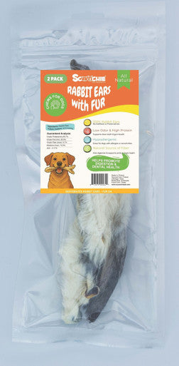 2 Pack Rabbit Ears with Fur - in peggable bag with color sticker 12X9X11 PDQ of 24