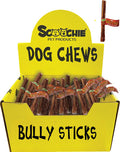 6 Inch Bully Stick  With Scoochie Cigar Band/UPC Small PDQ of 36