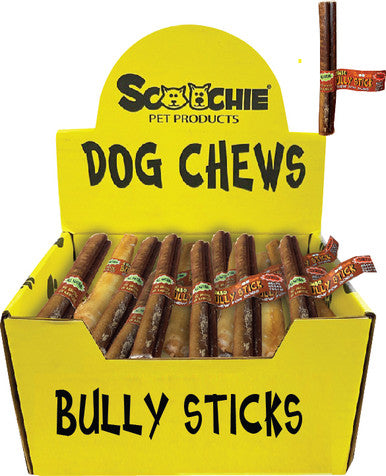 6 Inch JUMBO Bully Stick  With Scoochie Cigar Band/UPC Small PDQ of 24