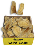 Natural Cow Ear Bulk Large PDQ of 50