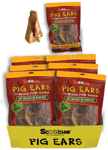 10 Pack Pig Ear in Printed Zip Lock Bag Large PDQ of 6