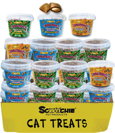 Assorted Flavors Scoochie Sensations 8.8 Ounce Tub Large PDQ of 24