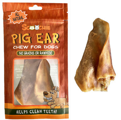 Pig Ear Chew for Dogs -Front