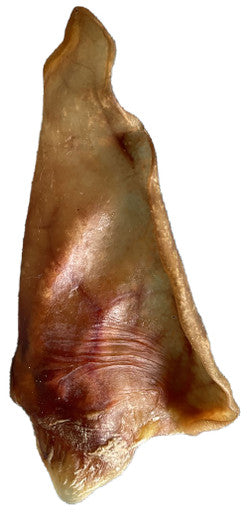 Pig Ear Chew for Dogs