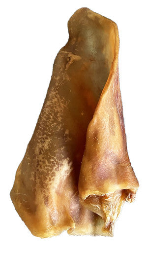 Pig Ear Chew for Dogs