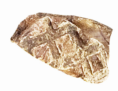 2 Ounce Beef Lung in Printed Zip Lock Bag