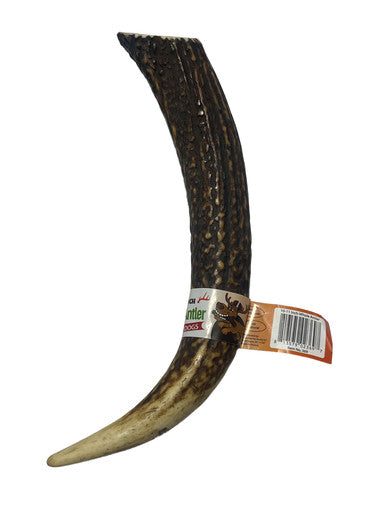 10-11 Inch Antlers Whole PDQ of 12