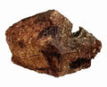 1 Pound Beef Lung in Zip Lock Bag