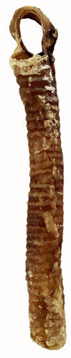 6-8 Inch Lamb Trachea Tubes 4 Pack