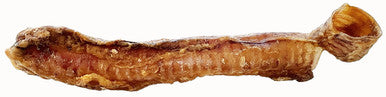 6-8 Inch Lamb Trachea Tube Bulk
