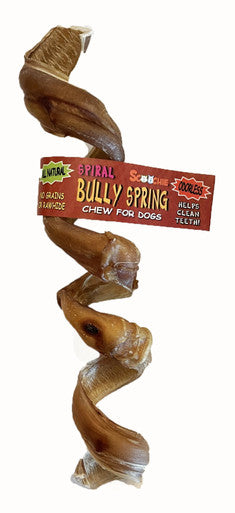 Spiral Bully Spring With Scoochie Cigar