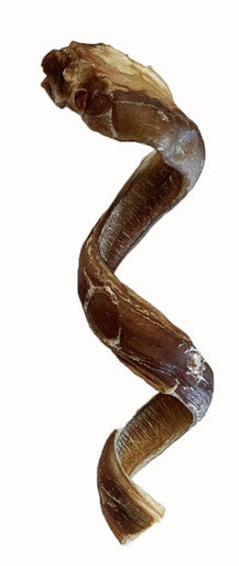 Spiral Bully Spring With Scoochie Cigar