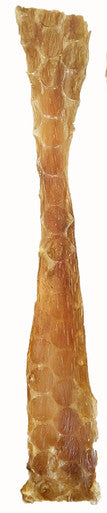 12  Inch Flat Bladder Strip with Cigar Band