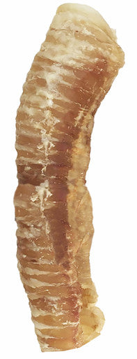 6 inch trachea tube