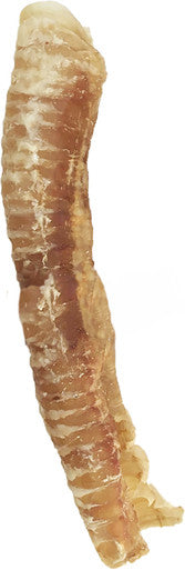 12 Inch trachea tube