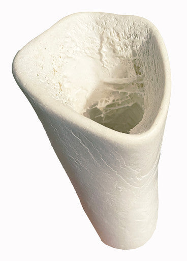 3-4 Inch Natural Sterilized Bone With UPC