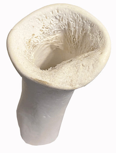 5-6 Inch Natural Sterilized Bone With UPC