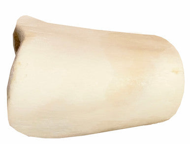 3-4 Inch Peanut Butter Stuffed White Shin Bone