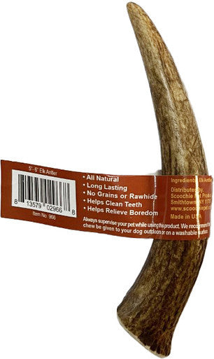 5-6 Inch Assorted Elk Antlers Split and Whole USA Sourced