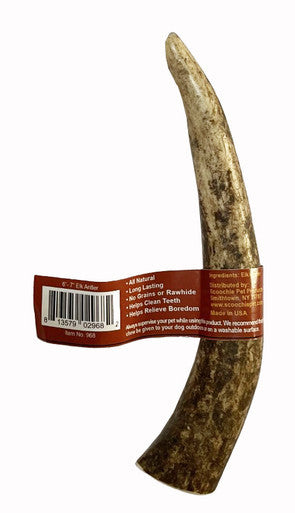 6-7 Inch Assorted Elk Antlers Split and Whole USA Sourced
