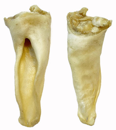 15 Pack Lamb Ear