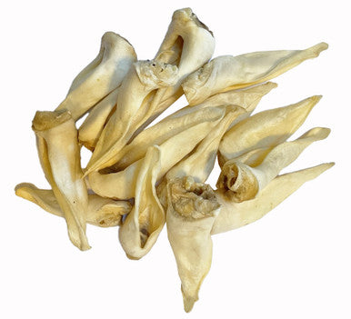 15 Pack Lamb Ear