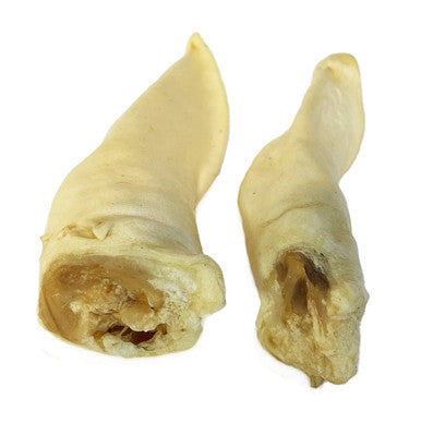 15 Pack Lamb Ear