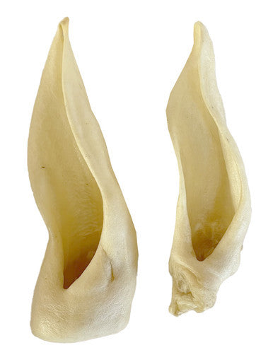 15 Pack Lamb Ear