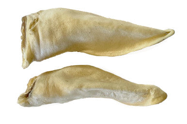 15 Pack Lamb Ear