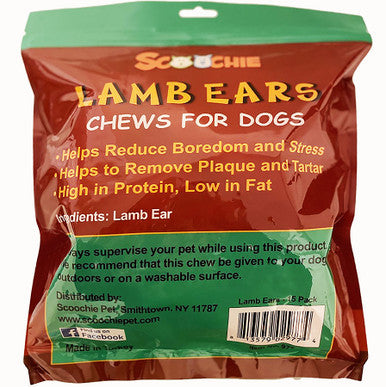 15 Pack Lamb Ear