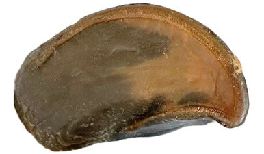 Cheese Flavor Stuffed Cow Hoof