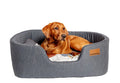 Color Block Steel Lux Slumber Bed