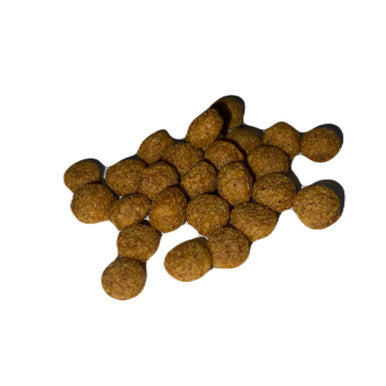 Chewka Dog Training Treats - Bacon Flavor 4.5 oz