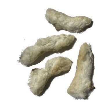 Rabbit foot with Hair 8 Pack Peggable Bag with UPC