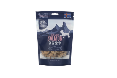 Salmon Skin Chips 2.5 oz Bag