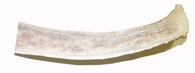 6-7 Inch Assorted Elk Antlers Split and Whole USA Sourced