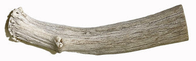 6-7 Inch Assorted Elk Antlers Split and Whole USA Sourced