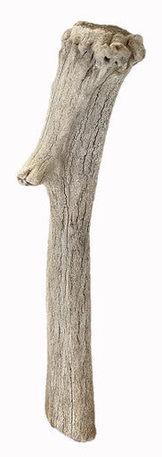 6-7 Inch Assorted Elk Antlers Split and Whole USA Sourced