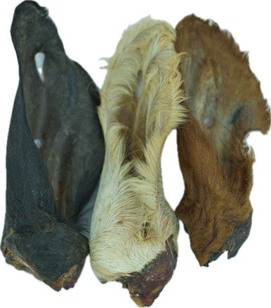 Natural Cow Ear with Hair Shrink with UPC Large PDQ of 36